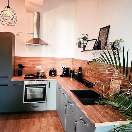 Oasis Appart - Wohnen Im Koenigspark - Elbhang Dresden - Grosse Terrasse - Netflix - Tg 외부 사진