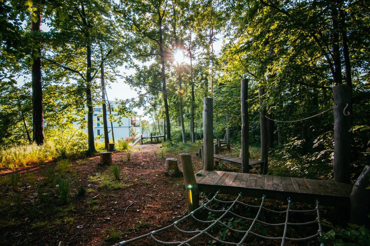 Oasis Appart - Wohnen Im Koenigspark - Elbhang Dresden - Grosse Terrasse - Netflix - Tg 외부 사진
