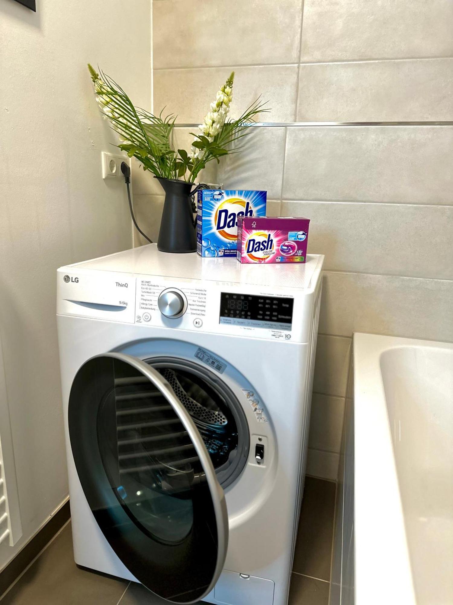 Oasis Appart - Wohnen Im Koenigspark - Elbhang Dresden - Grosse Terrasse - Netflix - Tg 외부 사진