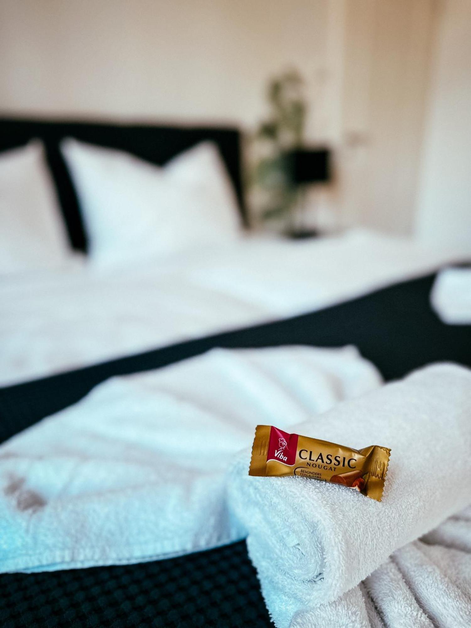 Oasis Appart - Wohnen Im Koenigspark - Elbhang Dresden - Grosse Terrasse - Netflix - Tg 외부 사진