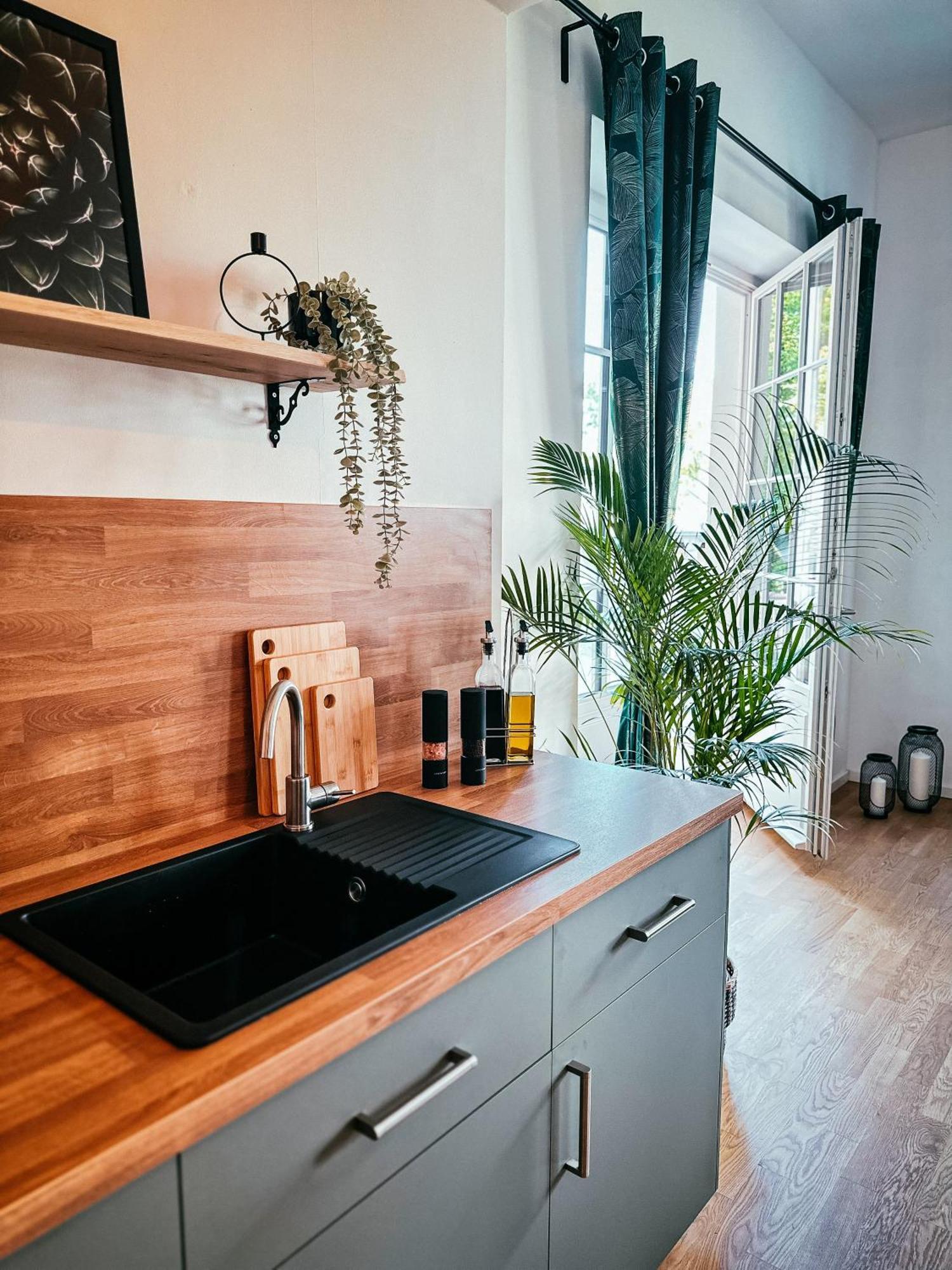 Oasis Appart - Wohnen Im Koenigspark - Elbhang Dresden - Grosse Terrasse - Netflix - Tg 외부 사진